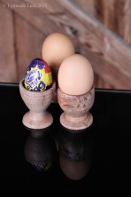 Eggcup Reflections