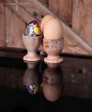 Eggcup Reflections